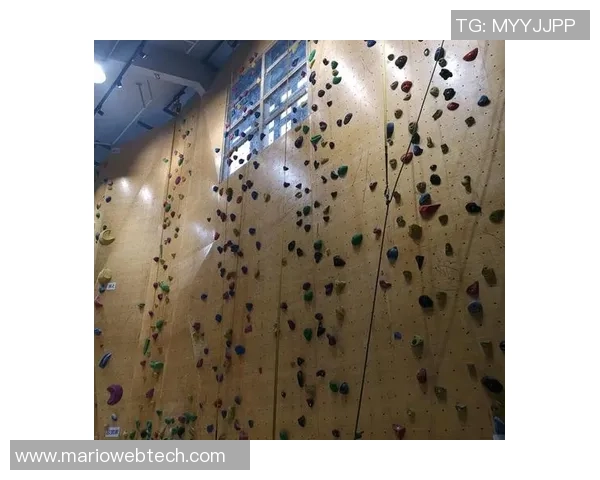 南京攀岩队技术探讨：提升攀岩技巧与训练方法的深入分析