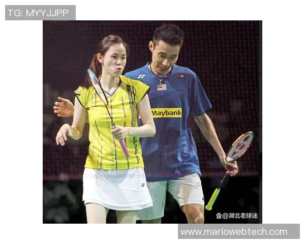 南京羽毛球队与成都羽毛球队耐力对决赛后分析与反思