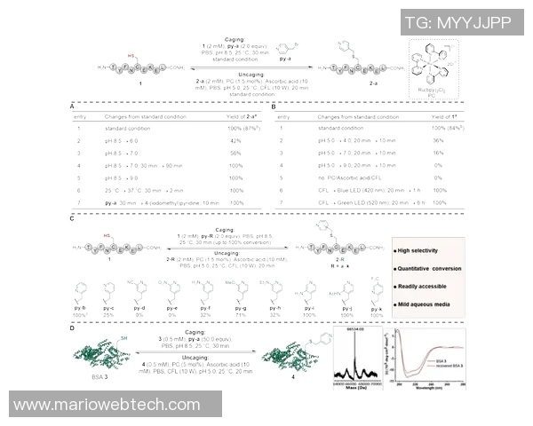 深入探讨上海滑板队力量表现的数据分析与训练策略