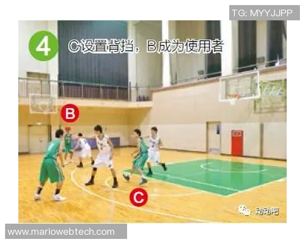 武汉排球队区域防守打法深度分析与战术解读