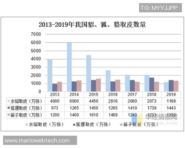 武汉极限运动队的节奏探讨与发展趋势分析 武汉极限运动队的节奏探讨与发展趋势分析